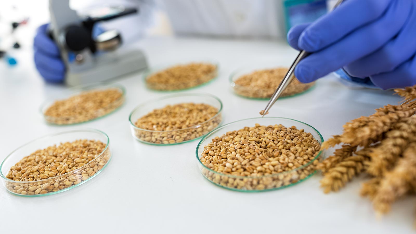 La justicia respalda la actuación de OCU